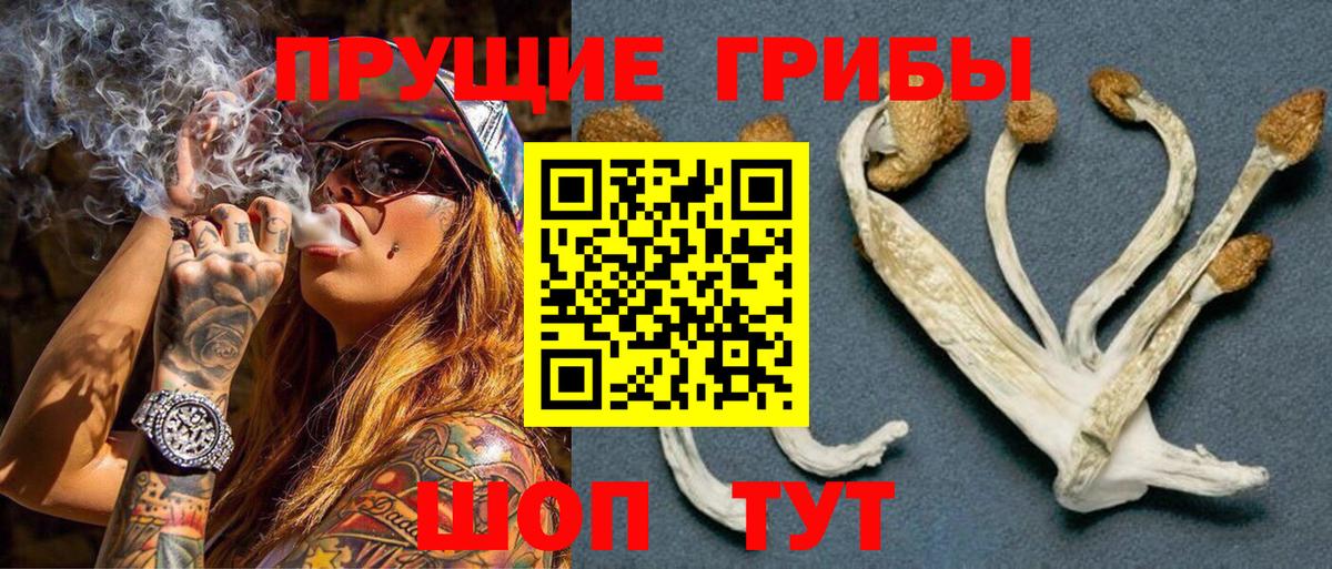 Галлюциногенные грибы ЛСД Михайловка