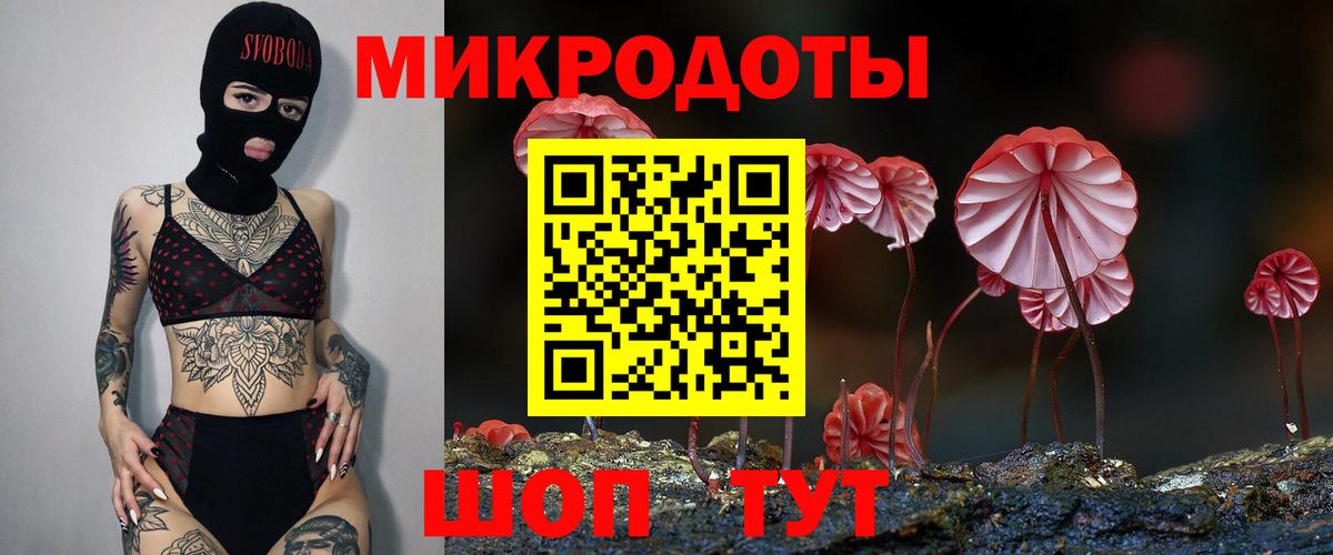 Михайловка  Галлюциногенные грибы Psilocybine cubensis  Псилоцибиновые грибы Psilocybe  Вход с VPN 