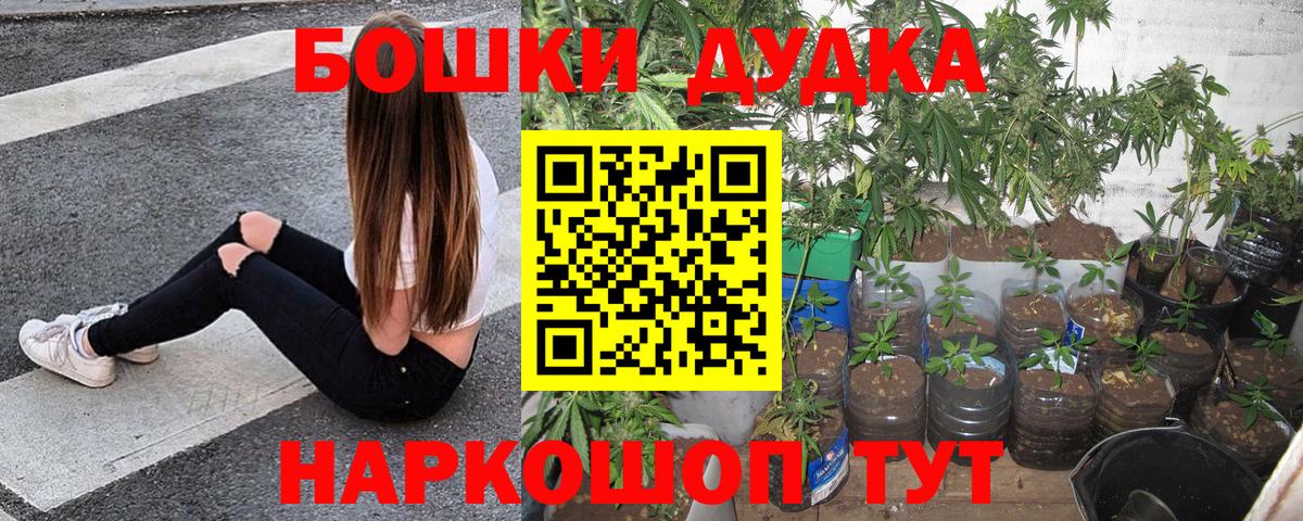 Каннабис план Михайловка